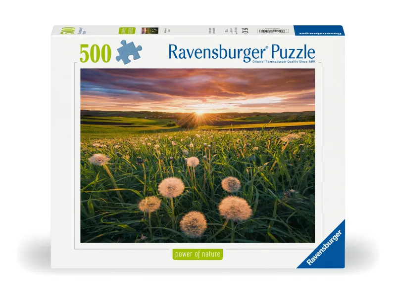 Nature Edition - Pissenlits au Coucher du Soleil