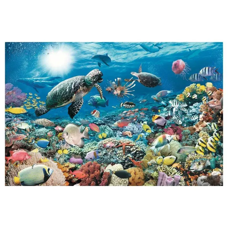 Sous la Mer
