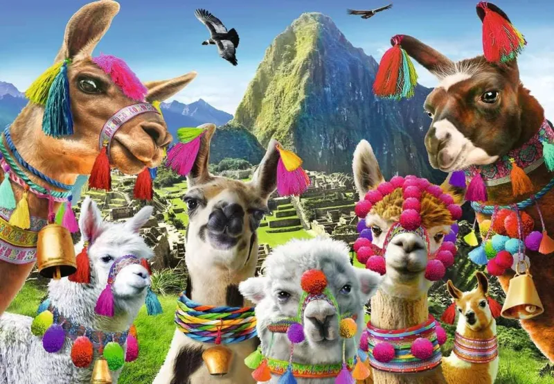 Puzzle Moment - Lama