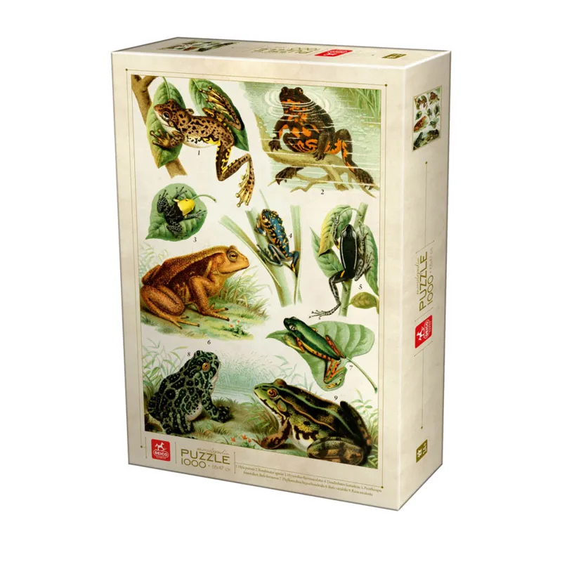 Grenouilles