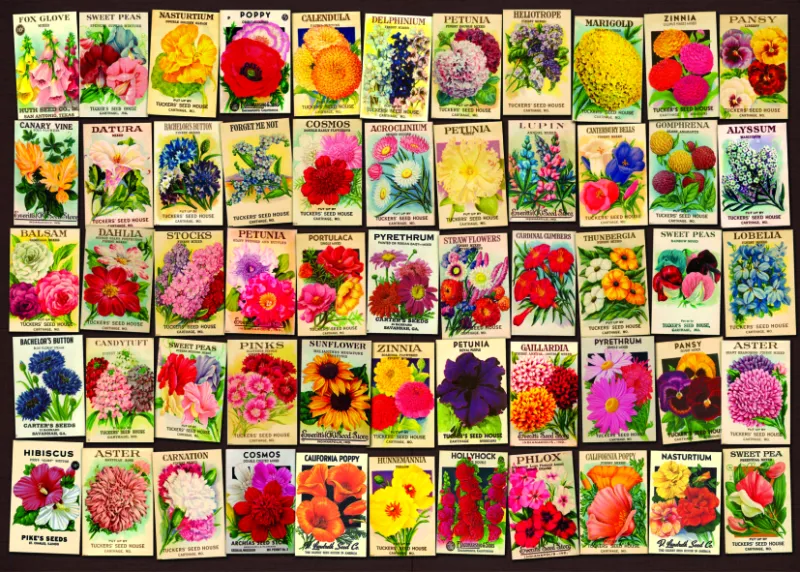 Vintage Collage - Fleurs