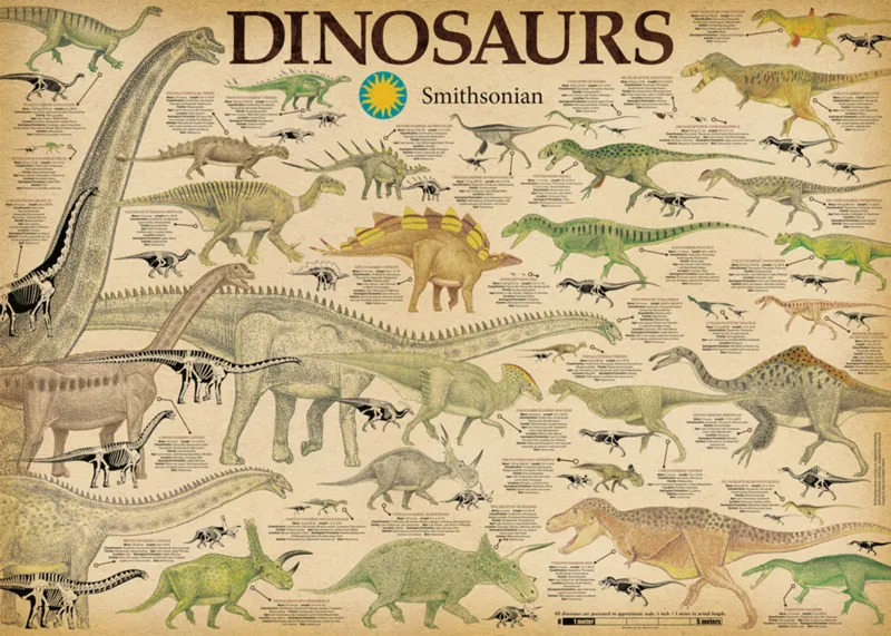 Dinosaures