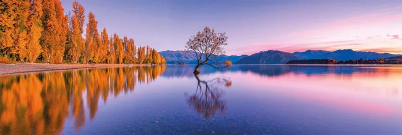 Lake Wanaka Tree