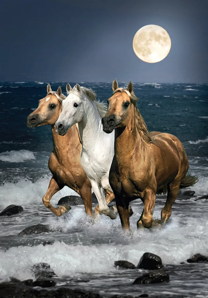 Chevaux au Clair de Lune