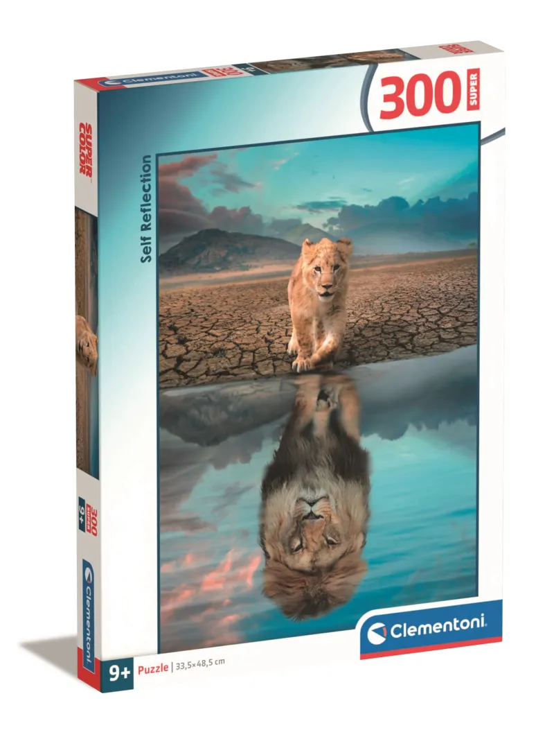 Reflet de Soi