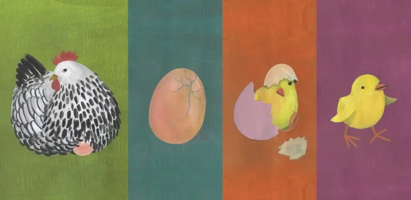 Sequences of Life Cycles