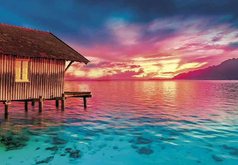 Peace - Vivre le Moment Présent