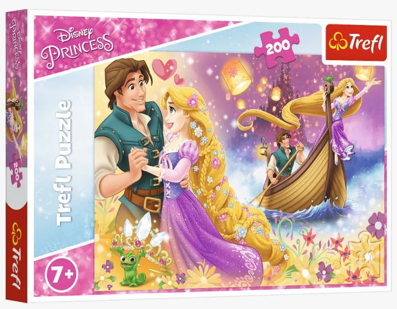 The Magical World of Princesses