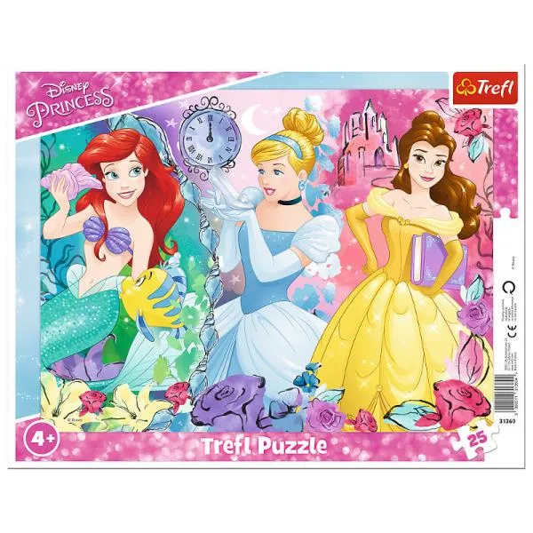 Puzzle Cadre - Disney Princess