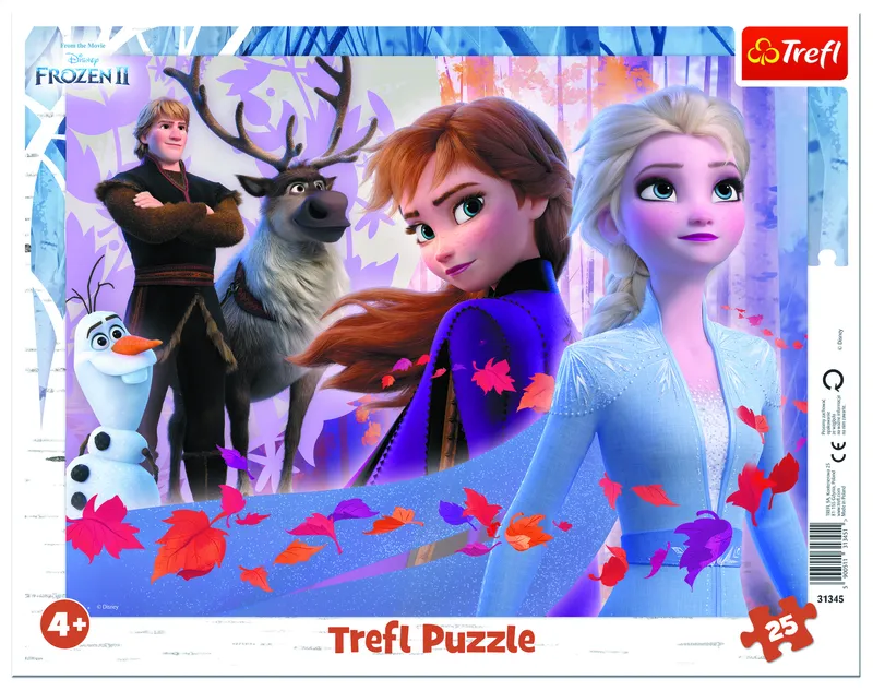 Puzzle Cadre - La Reine des Neiges