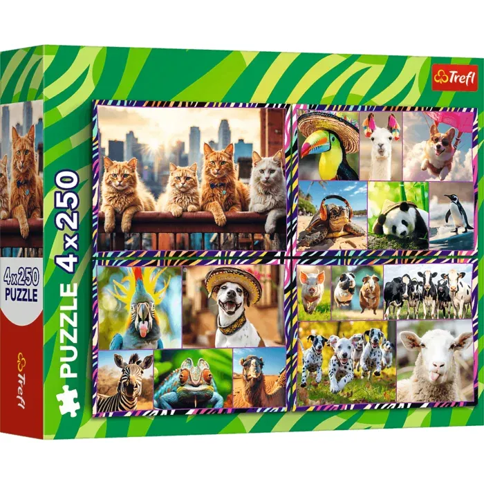 4 Puzzles - Animaux Drôles