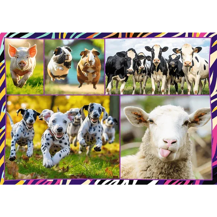4 Puzzles - Animaux Drôles