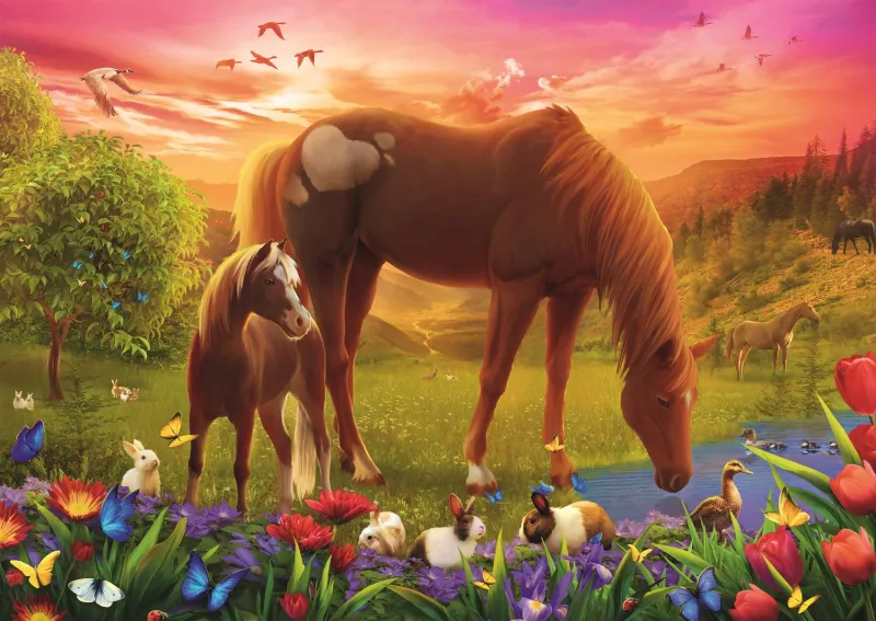 Chevaux Dans Le Pré