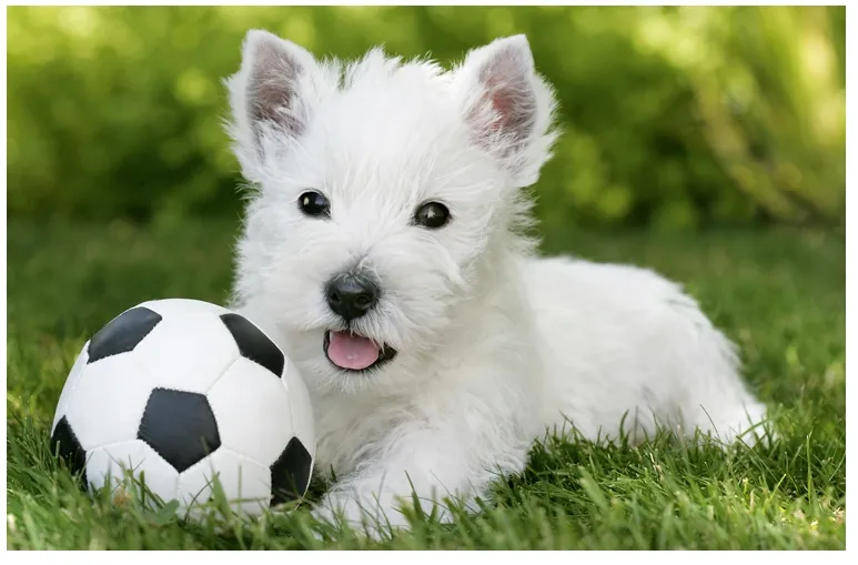 La pause après l'effort
