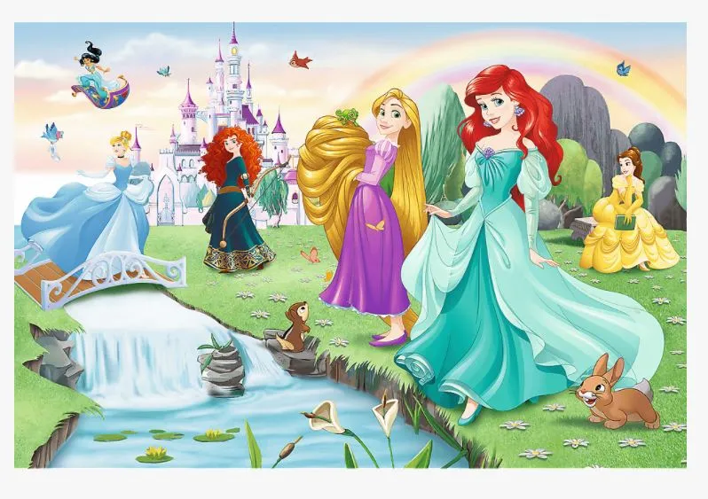 Meet the Princesses