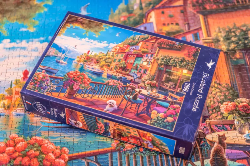 Nos puzzles adultes les plus tendances en 2026 (best-sellers)