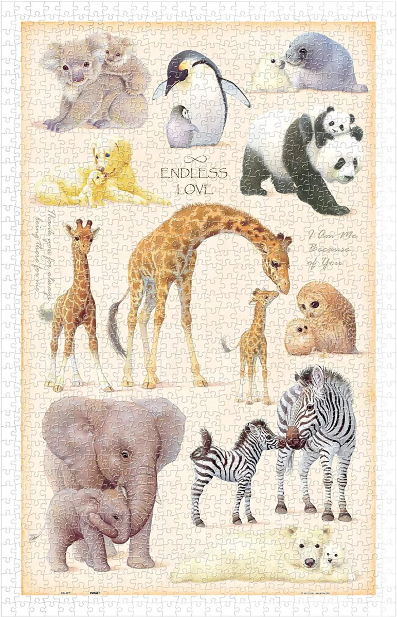 Puzzle en Plastique - John Butler - Endless Love