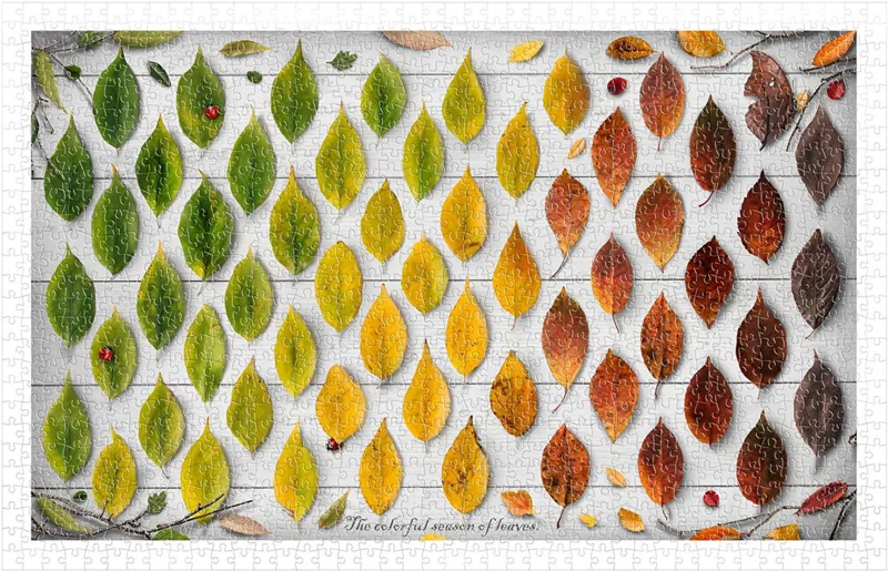 Puzzle en Plastique - The Colorful Season of Leaves
