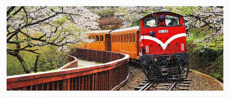 Plastic Puzzle - Forest Train in Alishan National Park