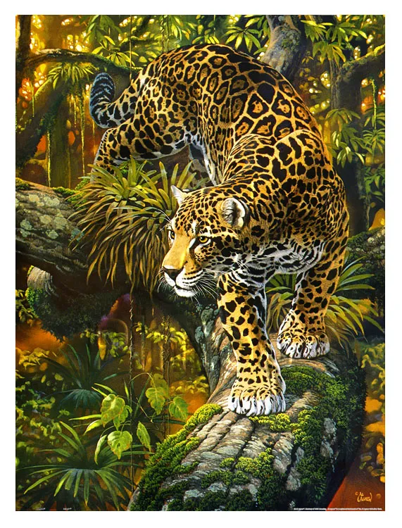 Puzzle en Plastique - Al Agnew - High Intensity