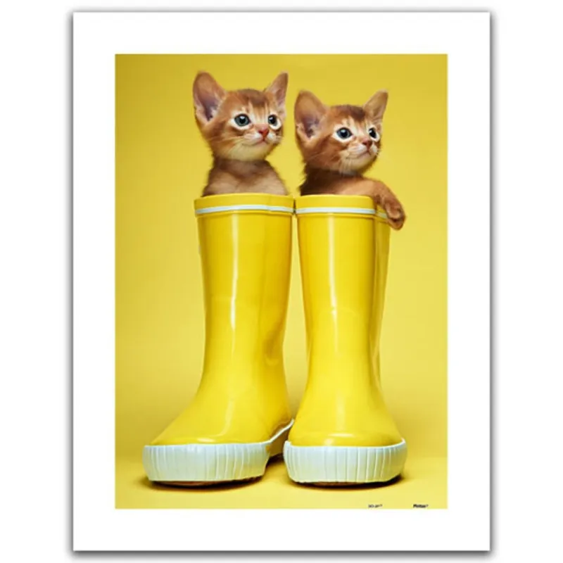 Puzzle en Plastique - Abyssinian Kittens