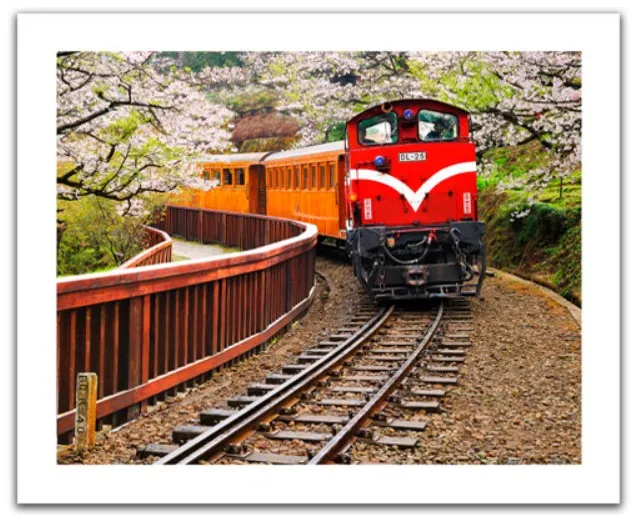 Puzzle en Plastique - Forest Train in Alishan National Park, Taiwan