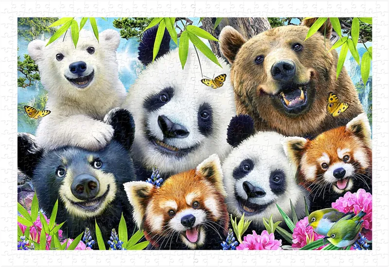 Howard Robinson - Selfie Bear Essentials