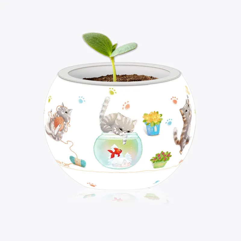 Puzzle 3D - Flower Pot - Cat's Play Time