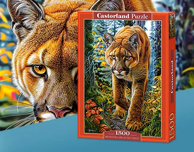 Nouveaux puzzles Castorland à découvrir !