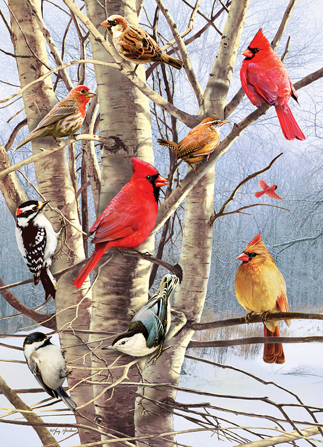 Oiseaux d'Hiver