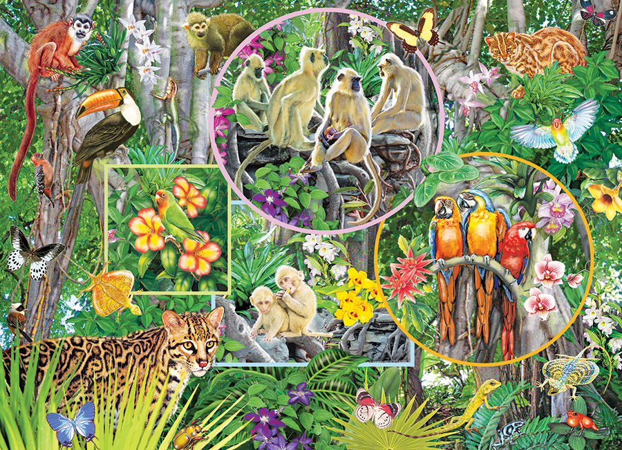 Magie de la Forêt Tropicale