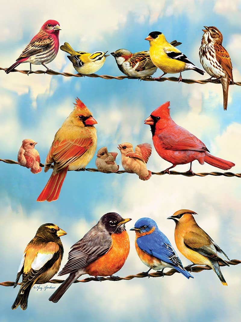 Pièces XXL - Birds on a Wire