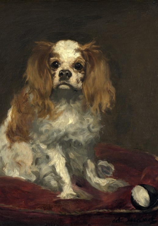 Edouard Manet : Un Cavalier King Charles Spaniel, 1866