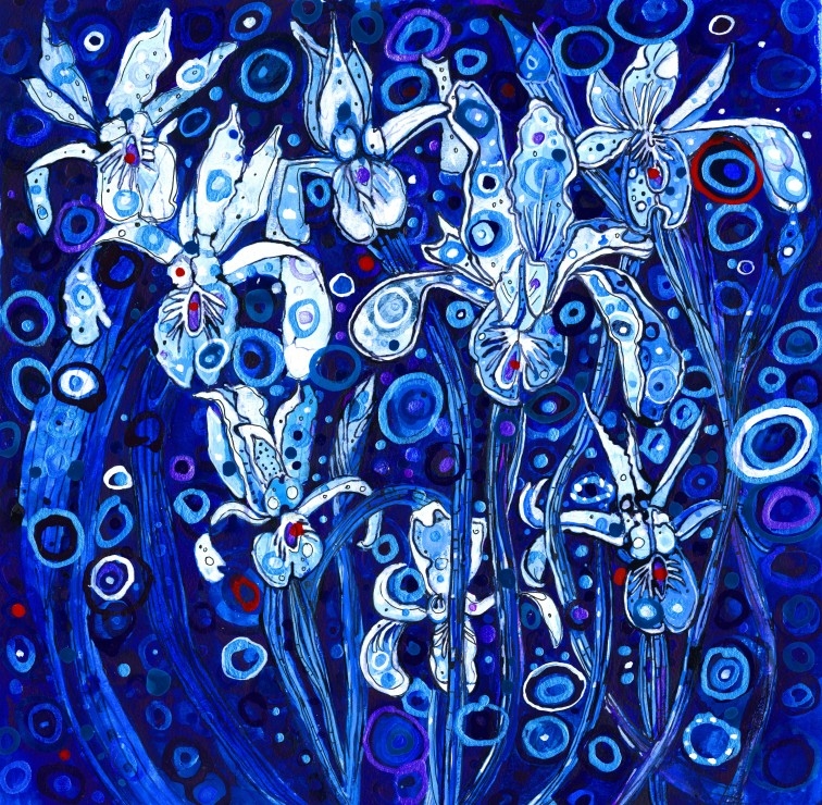 Blue Iris