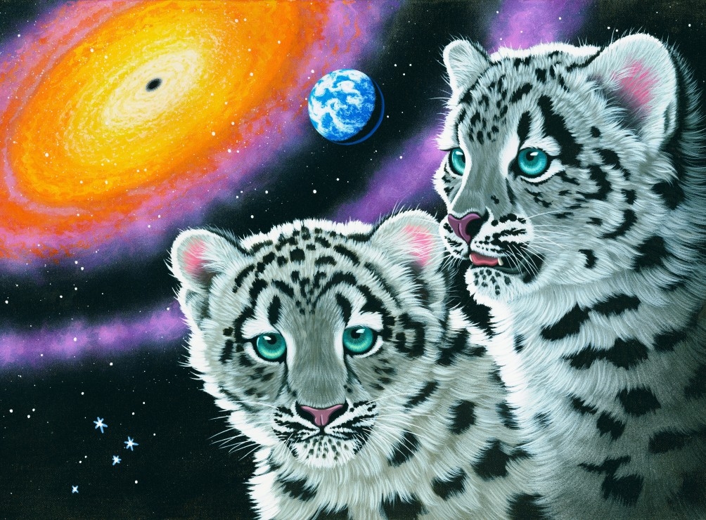 Schim Schimmel - Miracle of the Universe