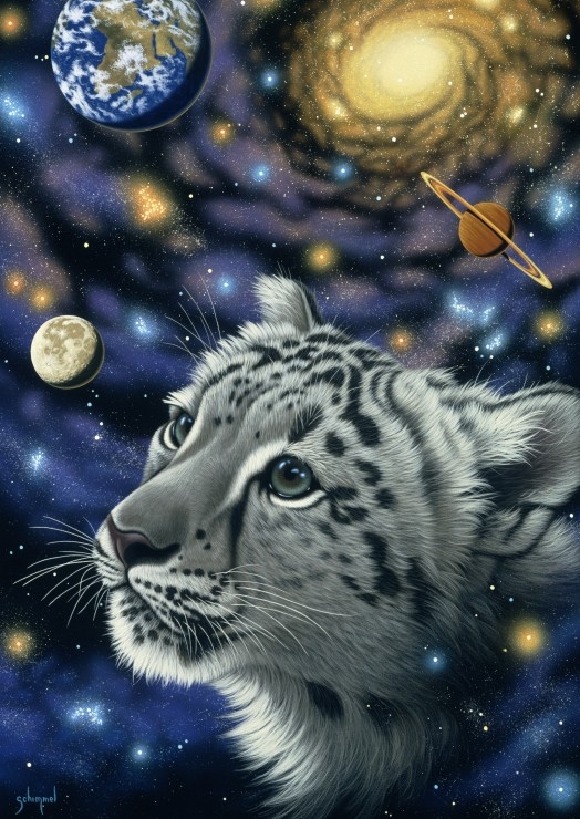 Schim Schimmel - One with the Universe