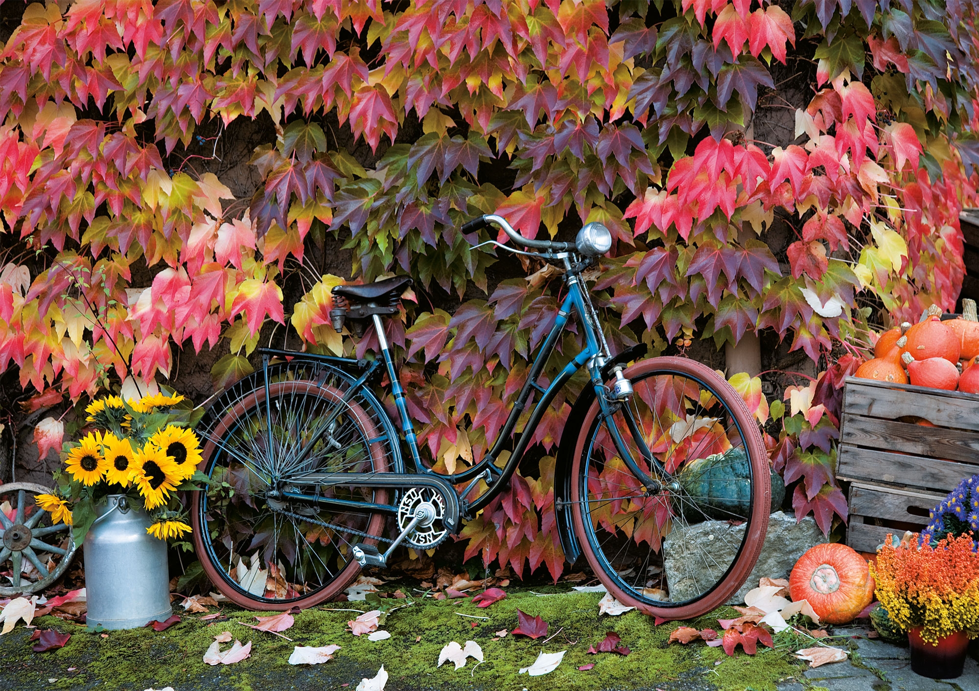 Automne