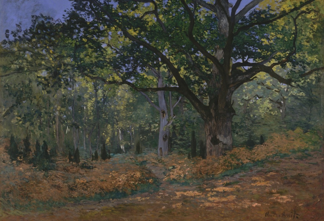 Pièces XXL - Claude Monet: Fontainebleau, 1865