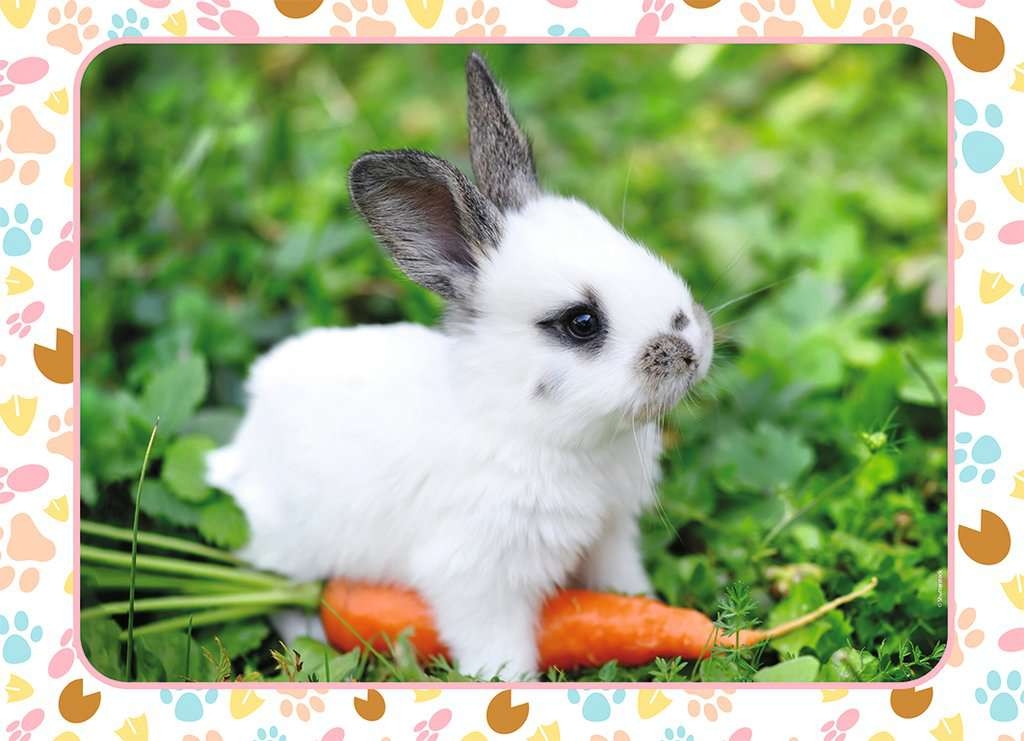 Petit Lapin et sa Carotte