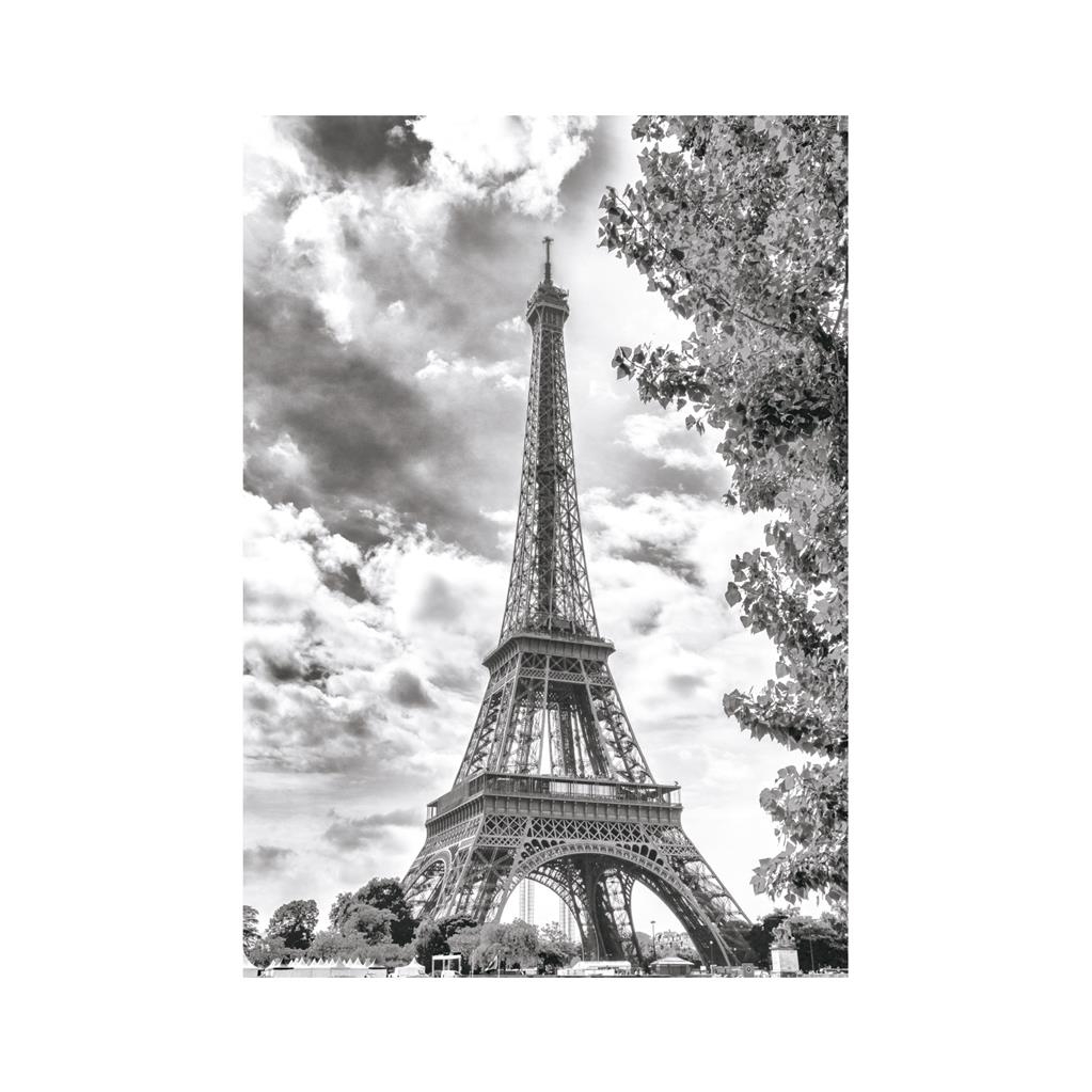 Tour Eiffel Noir et Blanche