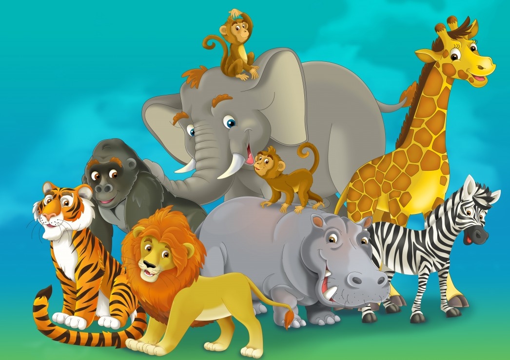 Safari