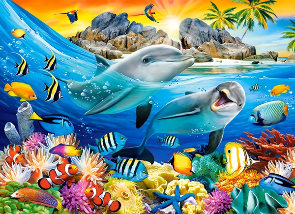 Dauphins dans les Tropiques