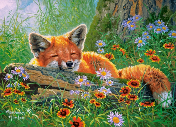 Rêves de Renard