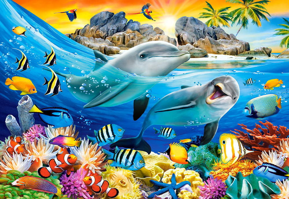 Dauphins sous les Tropiques