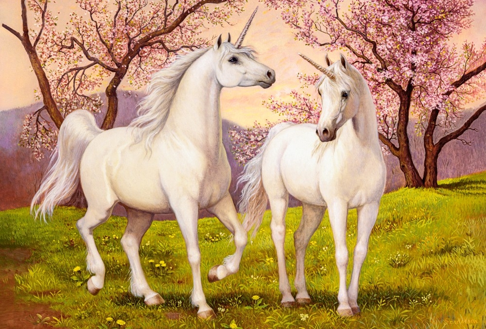 Licornes Amoureuses