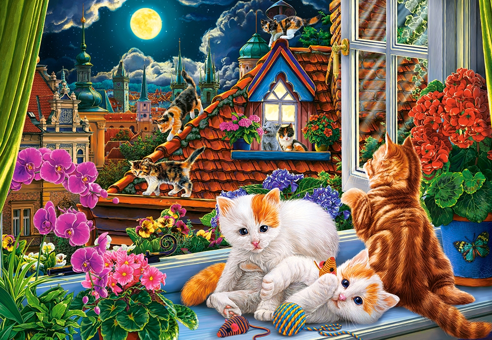 Chatons sur le Toit