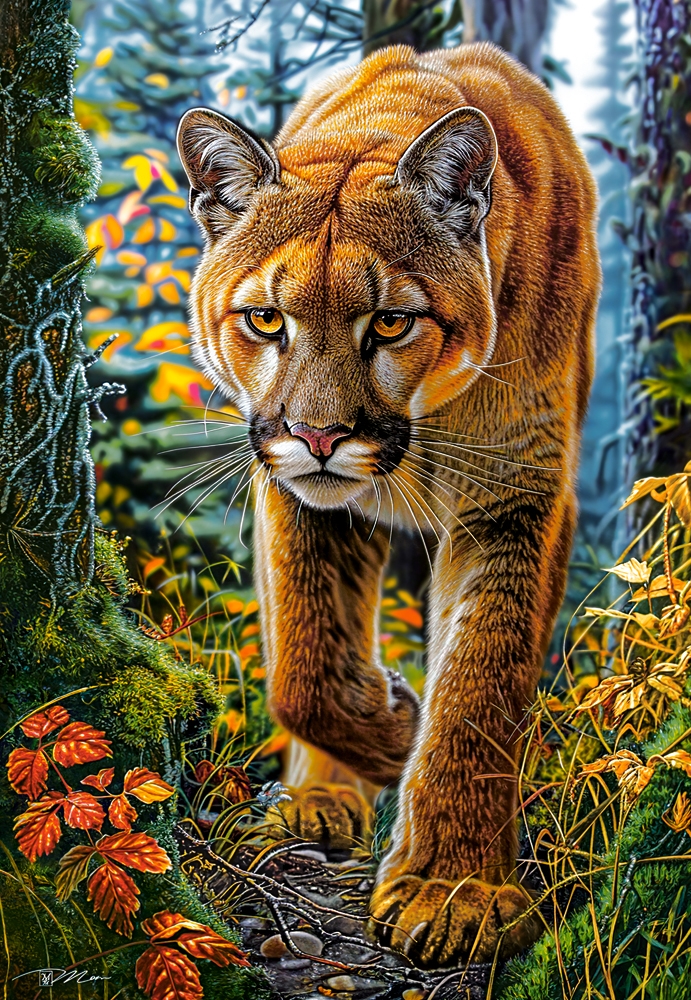 Lion des Montagnes dans la Forêt