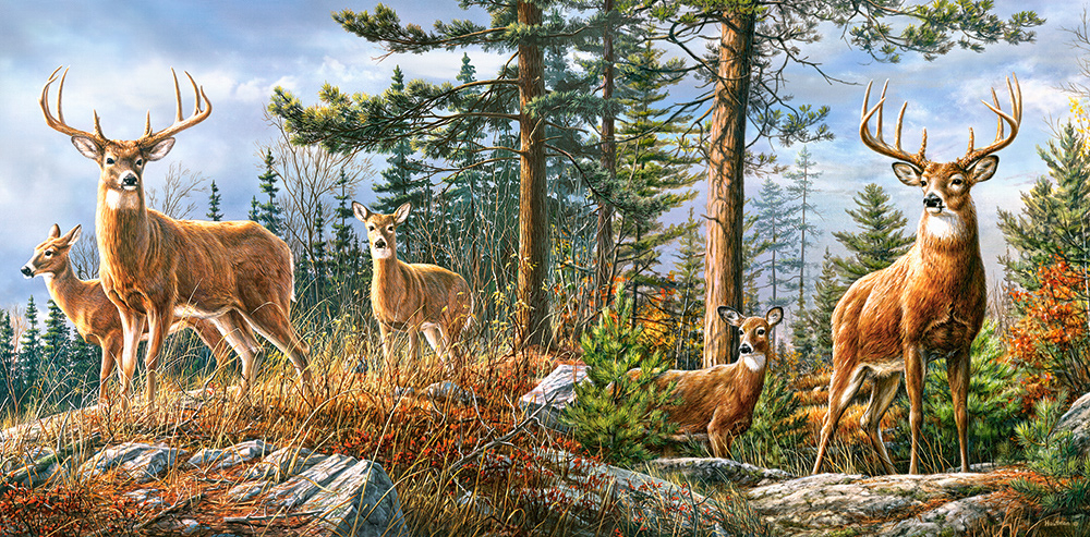 Famille Royale de Cerfs