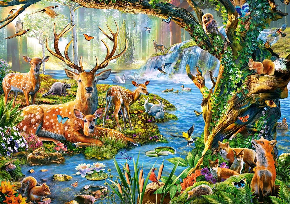 Vie de la Forêt
