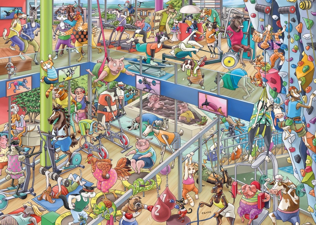 Pet Gym